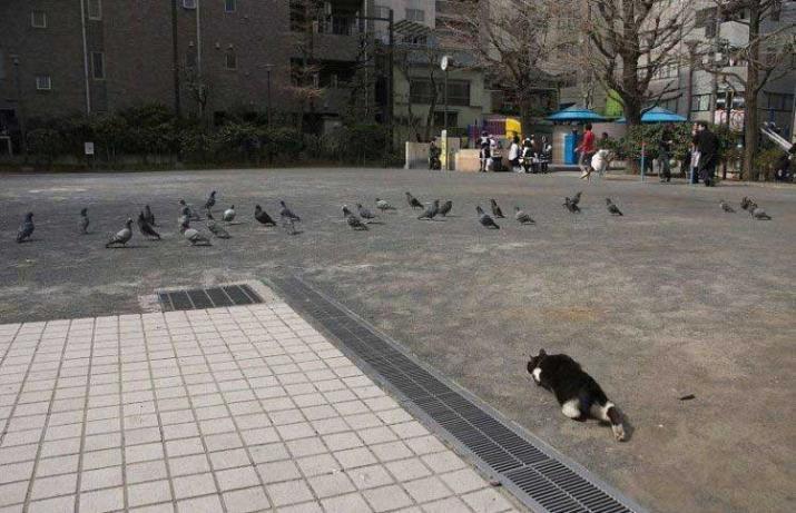 더쫌 이미지