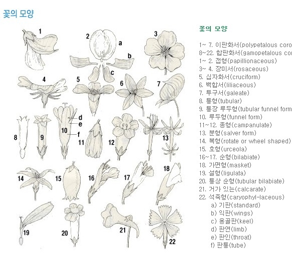 도해 이미지