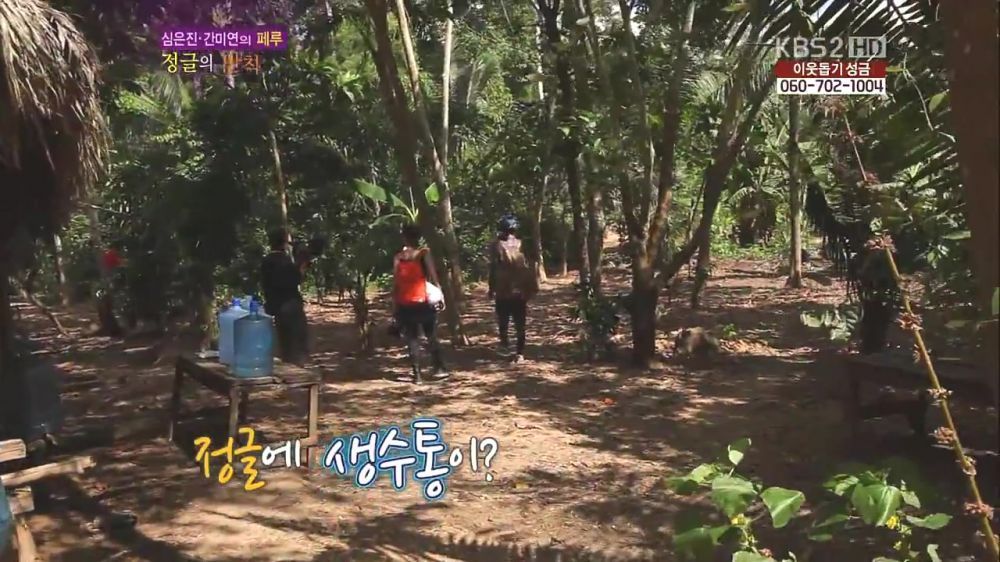 정글 이미지