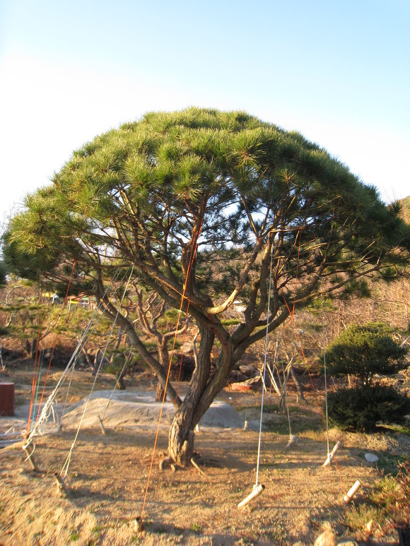 지리산농장 이미지