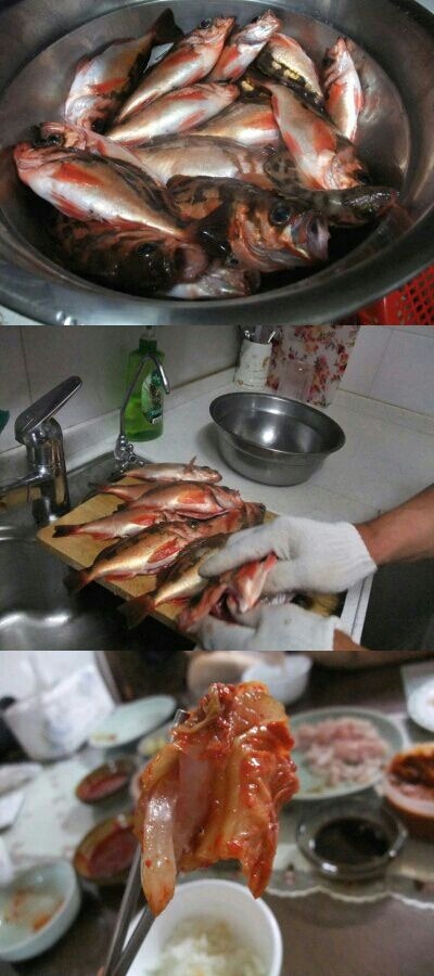 집앞이 바닷가인 어느 가정의 흔한 식탁 | 인스티즈