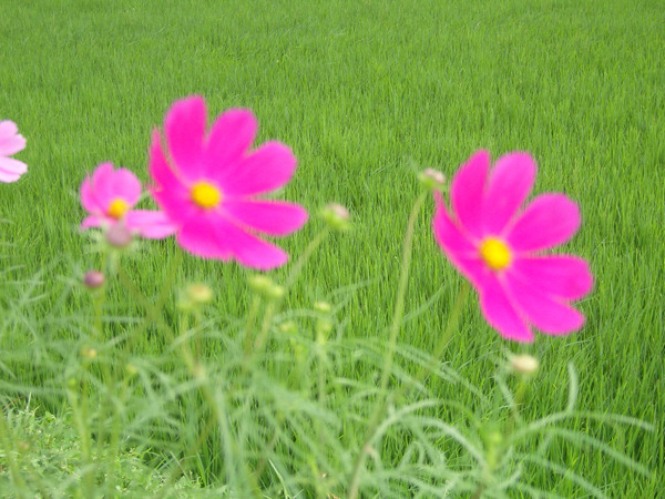문수조경 이미지