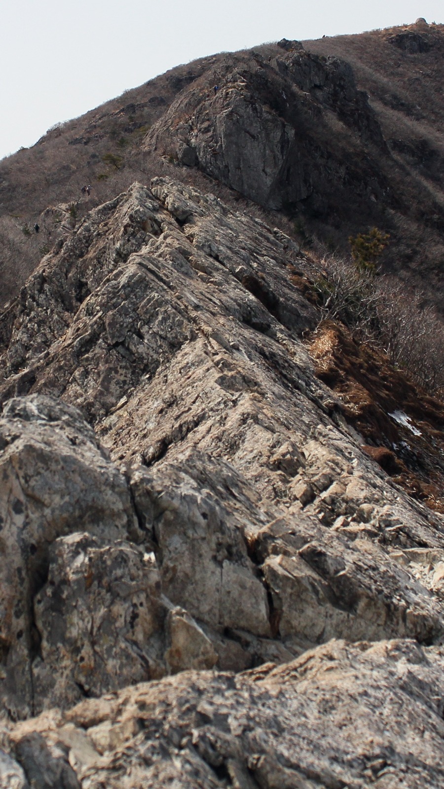 명산물산 이미지