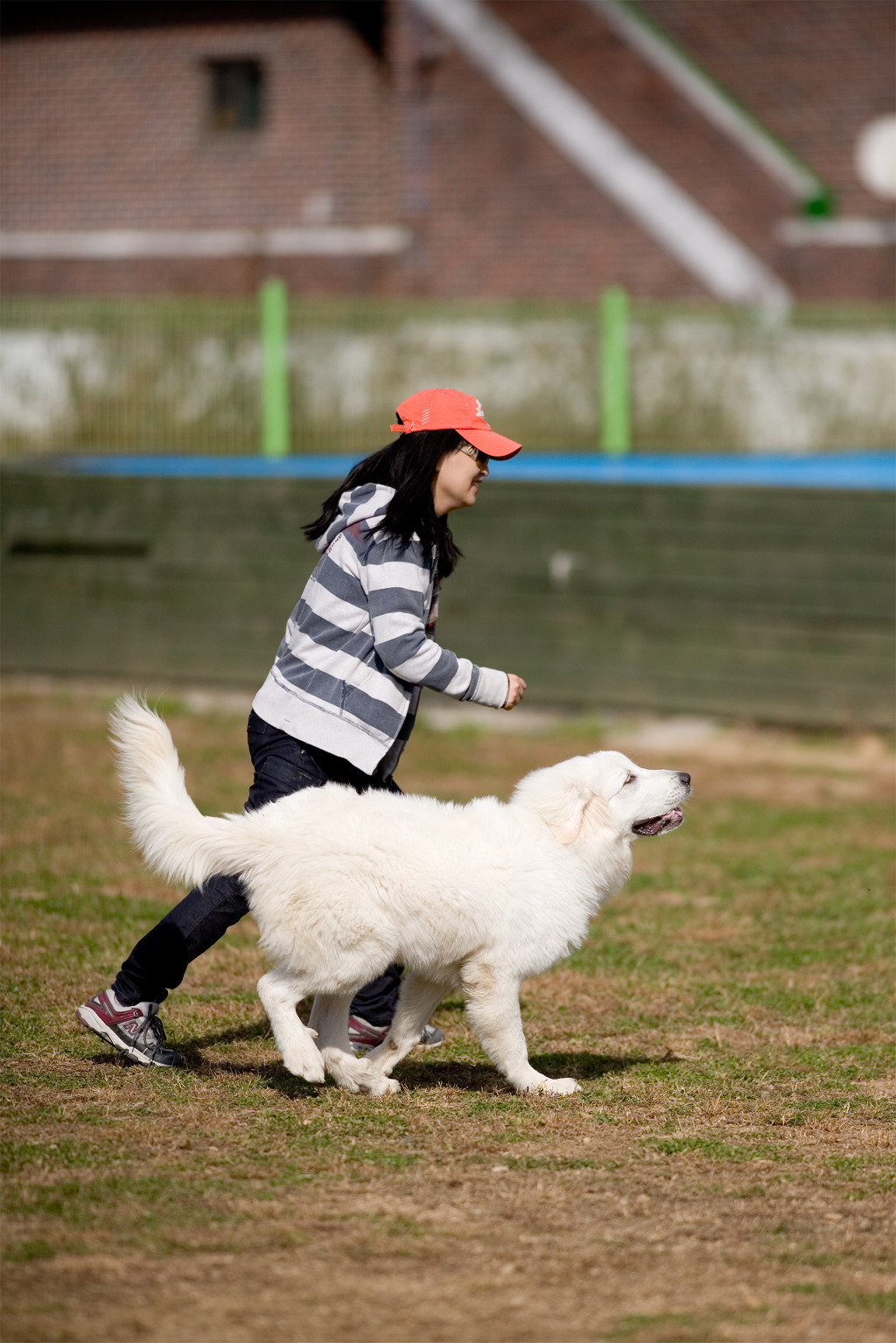 밤비노 이미지
