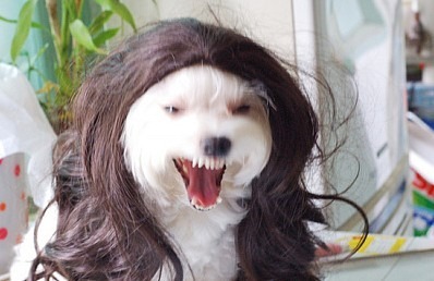 솔터 이미지