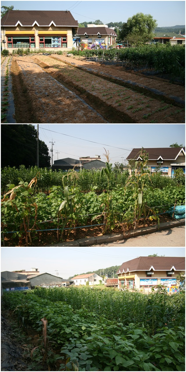 산울림유치원 이미지
