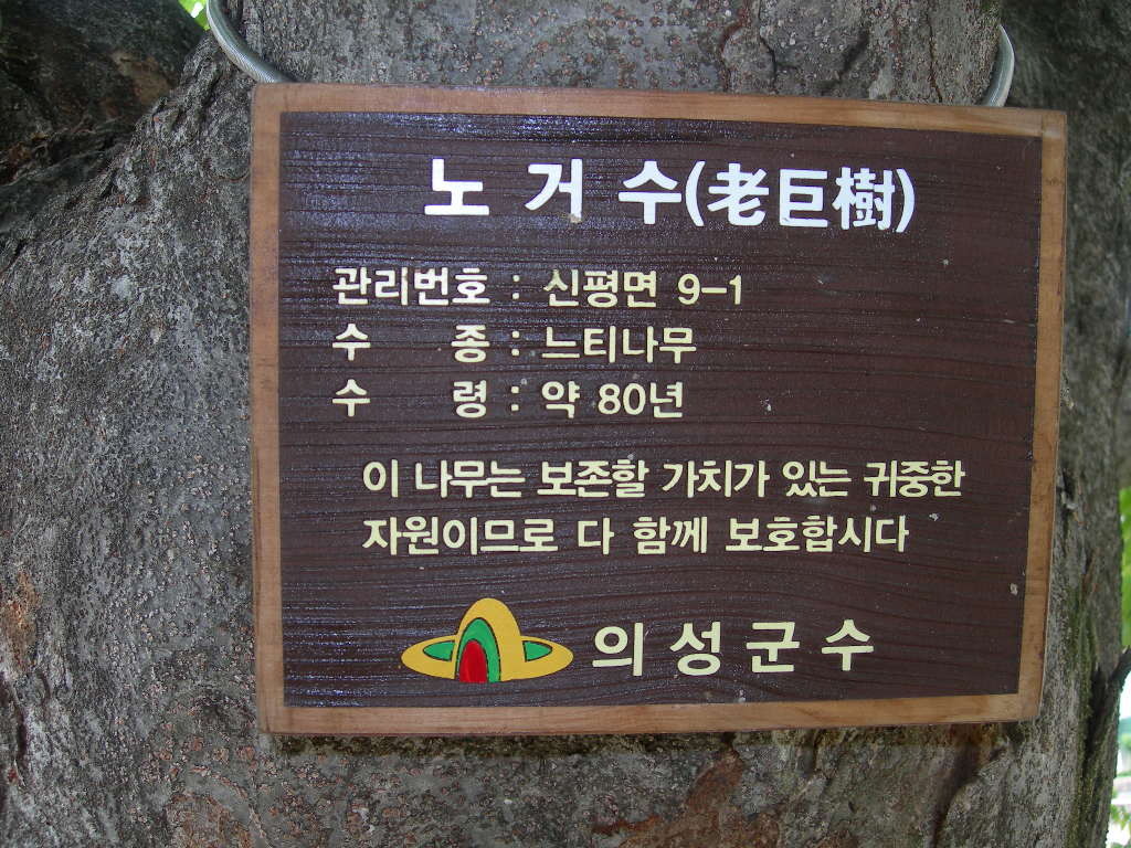 신평초등학교 이미지