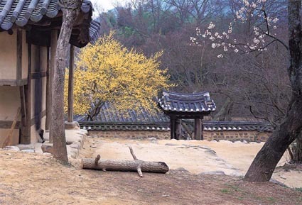 광고나라 이미지