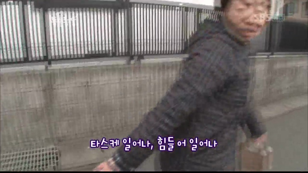 [동물농장] 목줄로 질질 끌려다니는 개.JPG | 인스티즈