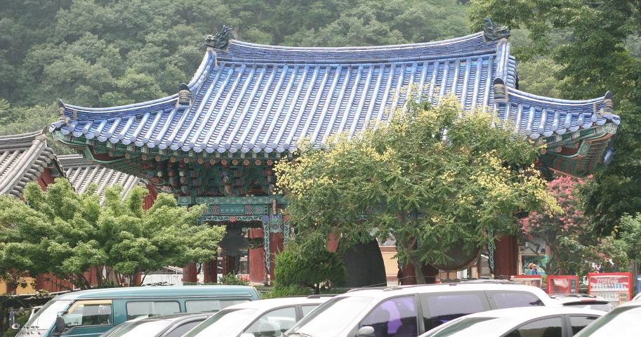 영진식당 이미지