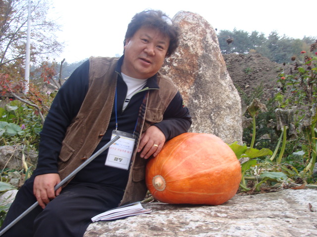 이일 이미지