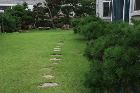 마당조경 이미지