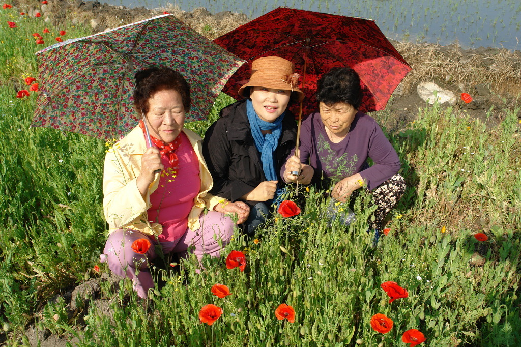 함양다방 이미지