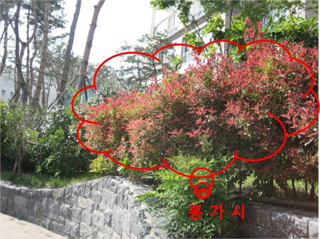 킹덤조경 이미지