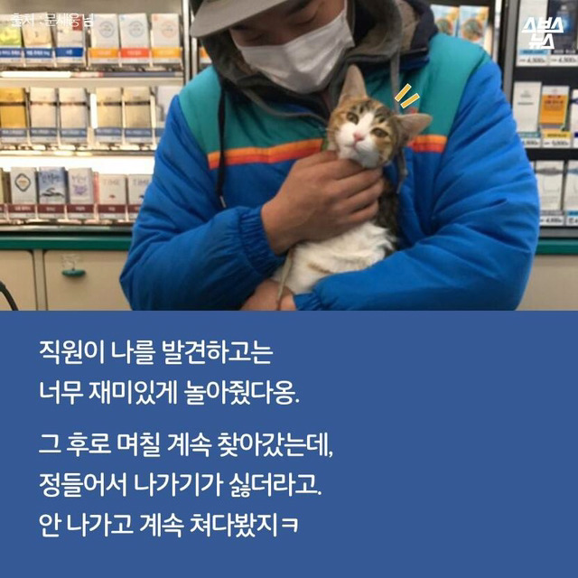 편순이 처음 보냥? | 인스티즈