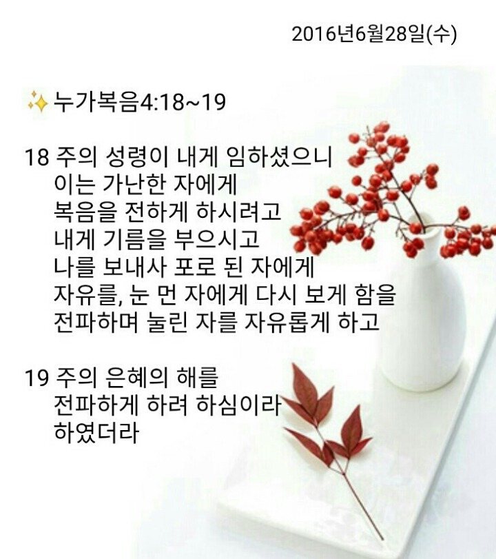 백향 이미지
