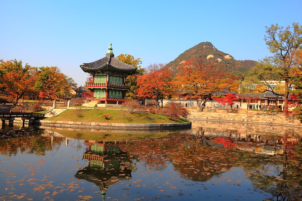향원정 이미지
