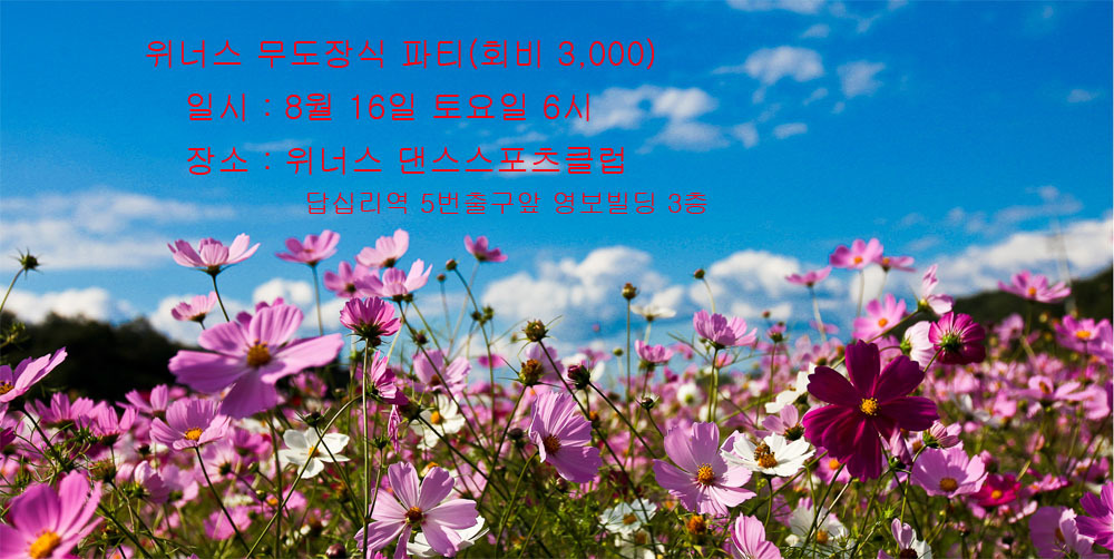 스포츠위너스 이미지