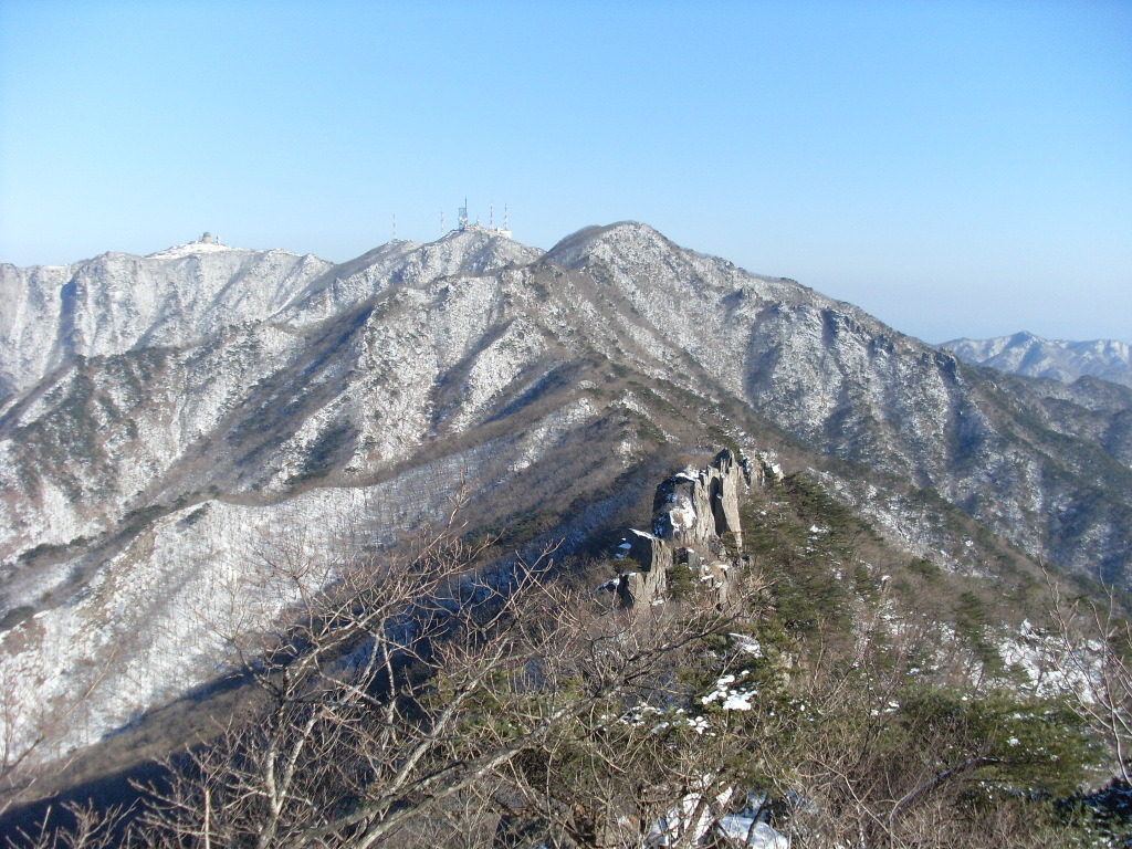 팔공상사 이미지