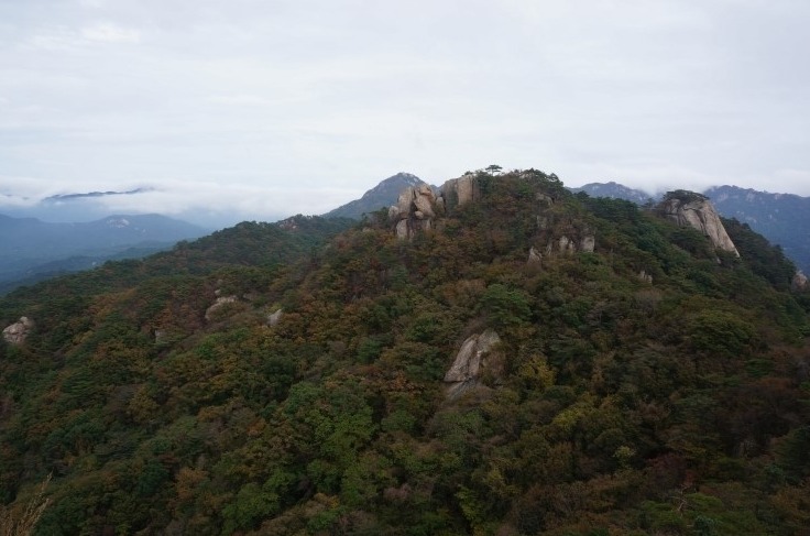 도건 이미지