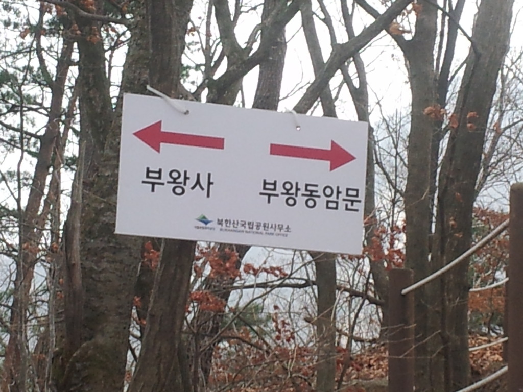 부광사 이미지