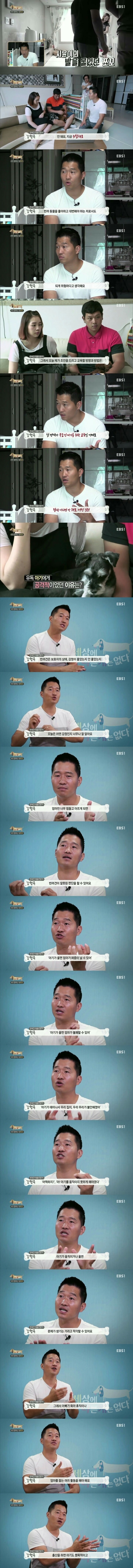 아기를 질투하는 강아지 쪼꼬 | 인스티즈