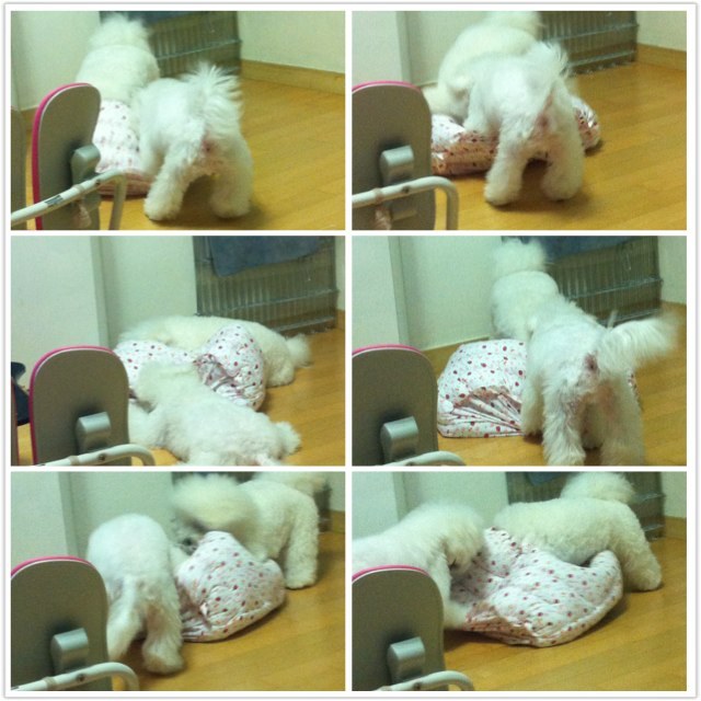 몽실네 이미지