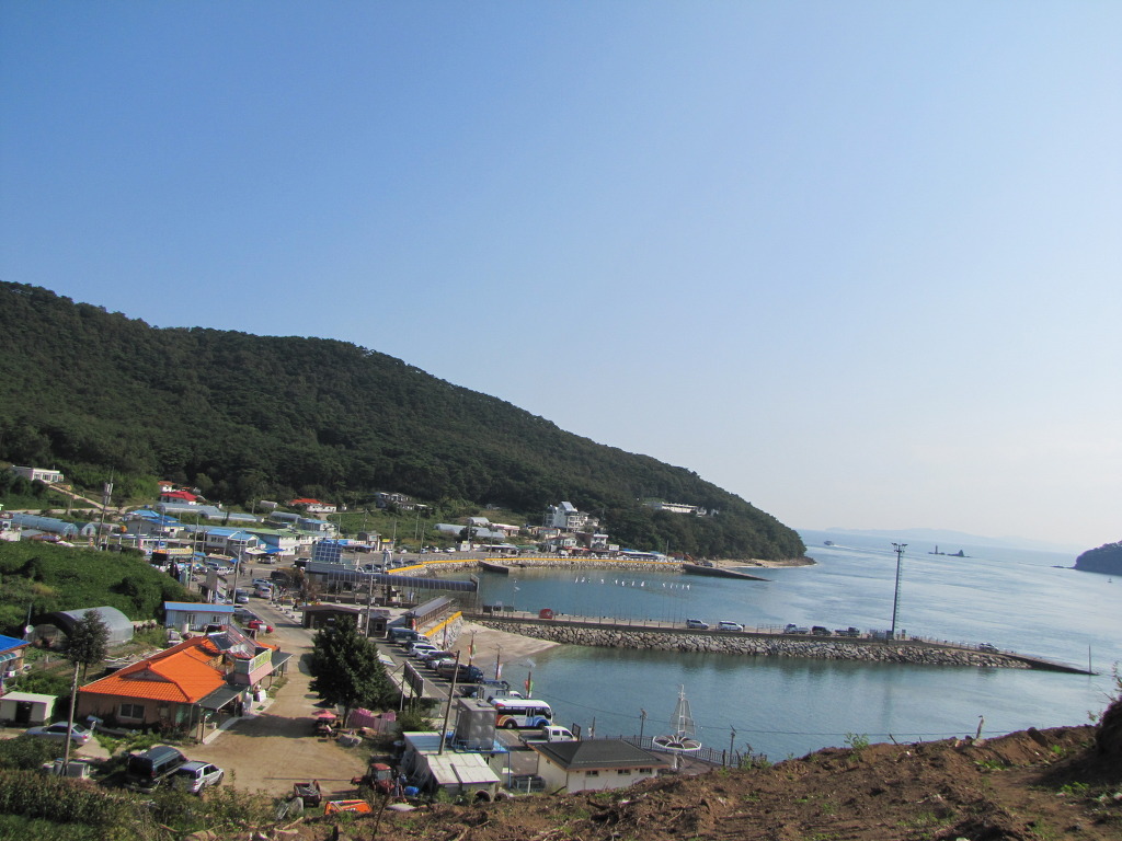 솔숲과바다 이미지