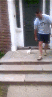 계단이 무서웠던 멍뭉이.GIF | 인스티즈