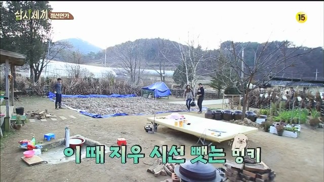 [삼시세끼] 최지우한테 작업거는 이서진(feat.해태)ㅋㅋㅋㅋㅋㅋㅋㅋㅋ.jpg | 인스티즈