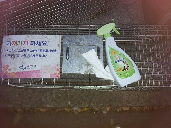 고다 이미지