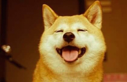 개냥이들 짱덕사주의 (데이터주의!) | 인스티즈