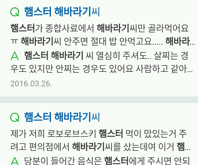 햄스터 키우는 사람공감 | 인스티즈
