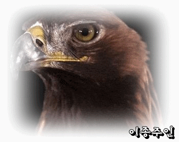 무덤 위에 지어진 동네 | 인스티즈