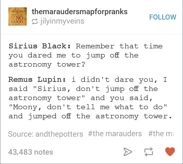 대세는 해리포터 아범시대 | 인스티즈