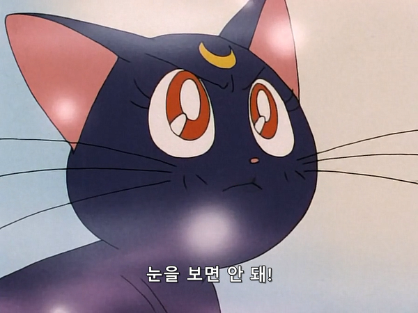 미소녀 전사 세일러문 (美少女戦士セーラームーン) 05 | 인스티즈