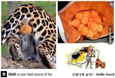 치토스의 비밀 | 인스티즈