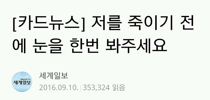 저를 죽이기 전에 눈을 한번 봐주세요(혐오주의) | 인스티즈