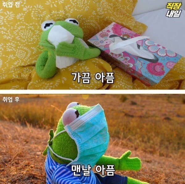 월요병걸린 쌍커들을 위한 취직전 vs 취직후 (개구리 귀여움 주의)-이미지 추가 | 인스티즈