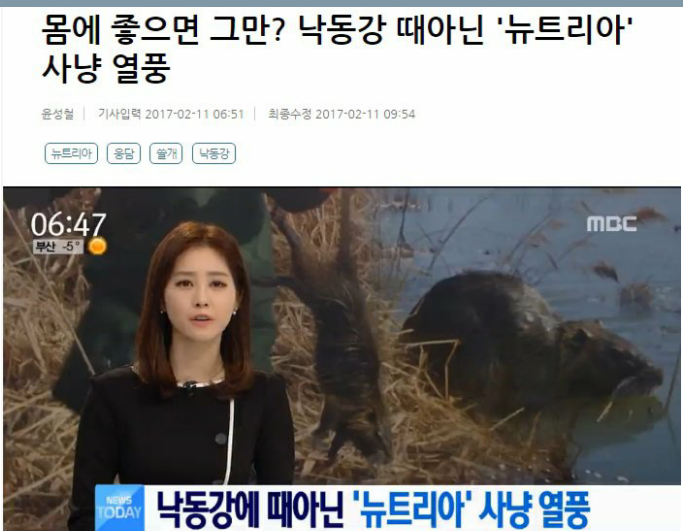 뉴트리아 멸종 위기 ㅠㅜ.jpg | 인스티즈