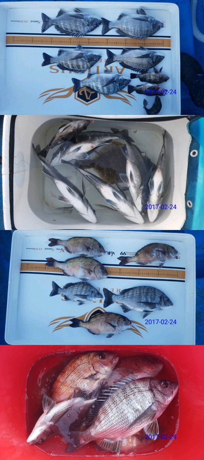 전국선외기 이미지