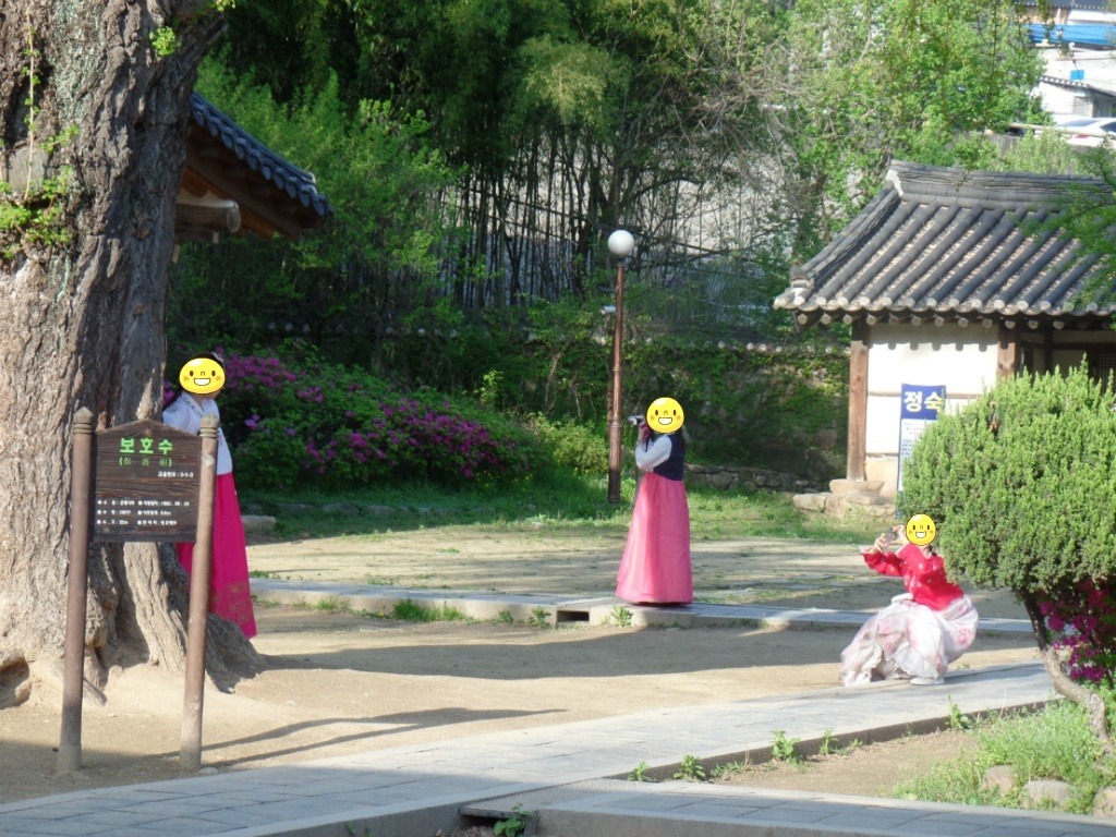 전주가면 흔히 보이는 모습 | 인스티즈