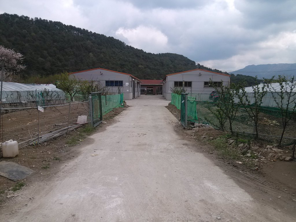 삼겹파티 이미지