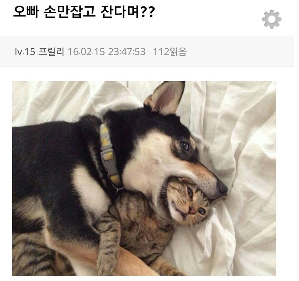 바바 이미지
