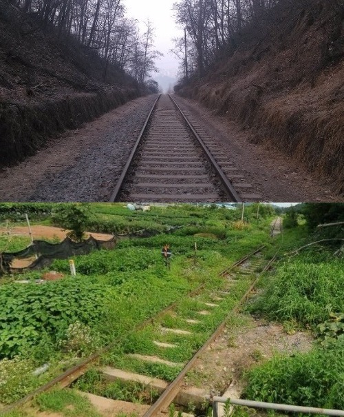  서울 사람도 모르는 서울의 숨겨진 장소들 | 인스티즈