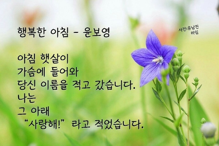 솜씨방 이미지