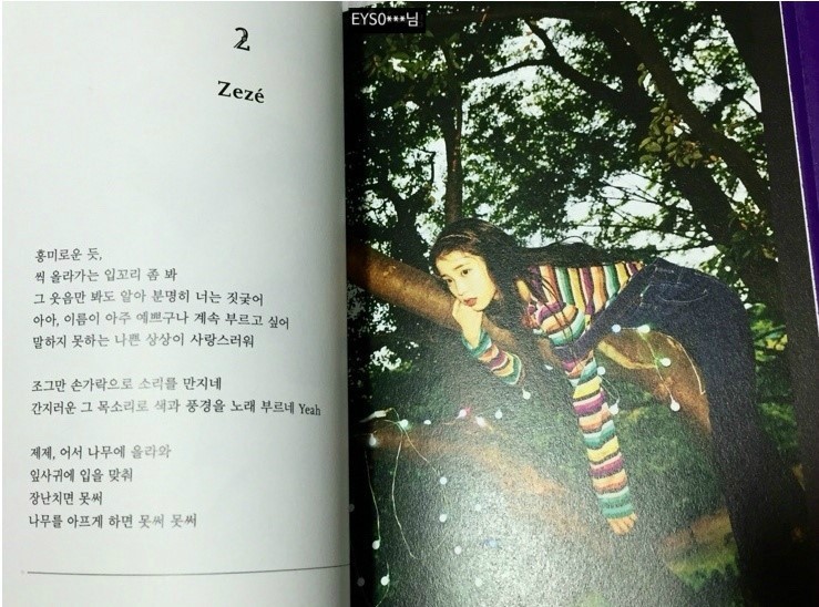아이유 제제 가사해석 논란 | 인스티즈