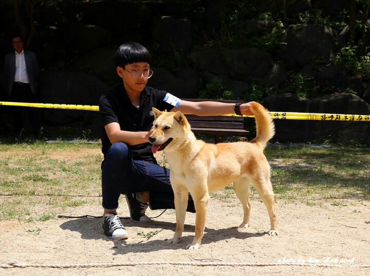 금화 이미지