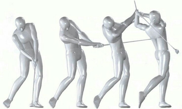 폼생폼사 이미지
