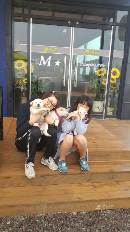 개소주가 되어 주인품으로 돌아온 매실이. 매실이는 이쁘고 영리하지만 겁도많은 소중한 가족이었습니다 | 인스티즈